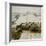 Sheep Feeding On Straw in Snowy Landscape. Ponden Moor, 1987-Fay Godwin-Framed Giclee Print