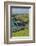 Sheep Fences and Rock Walls Along the Dingle Peninsula-Michael Nolan-Framed Photographic Print