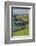 Sheep Fences and Rock Walls Along the Dingle Peninsula-Michael Nolan-Framed Photographic Print