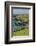 Sheep Fences and Rock Walls Along the Dingle Peninsula-Michael Nolan-Framed Photographic Print