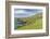 Sheep Fences and Rock Walls Along the Dingle Peninsula-Michael Nolan-Framed Photographic Print