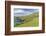 Sheep Fences and Rock Walls Along the Dingle Peninsula-Michael Nolan-Framed Photographic Print