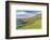 Sheep Fences and Rock Walls Along the Dingle Peninsula-Michael Nolan-Framed Photographic Print