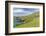 Sheep Fences and Rock Walls Along the Dingle Peninsula-Michael Nolan-Framed Photographic Print