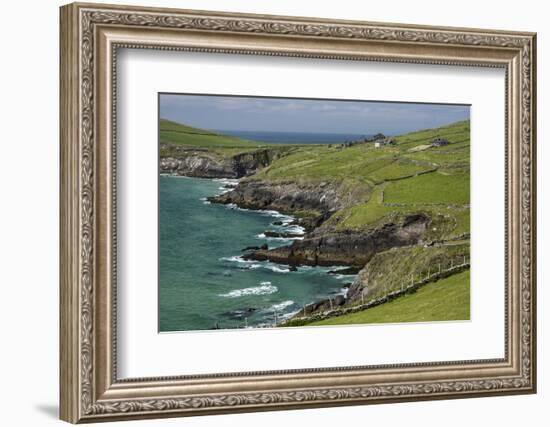 Sheep Fences and Rock Walls Along the Dingle Peninsula-Michael Nolan-Framed Photographic Print