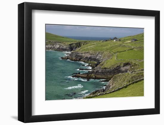 Sheep Fences and Rock Walls Along the Dingle Peninsula-Michael Nolan-Framed Photographic Print