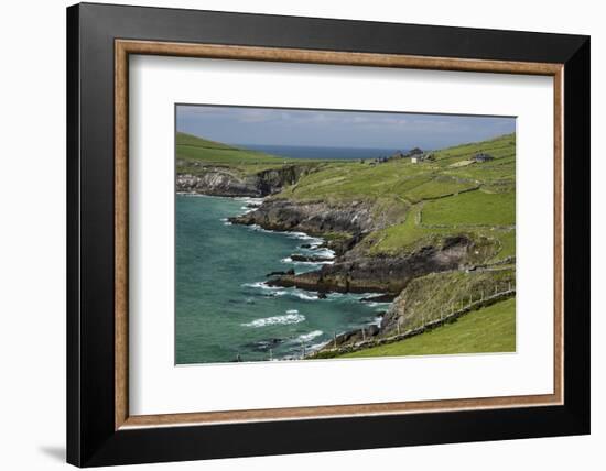 Sheep Fences and Rock Walls Along the Dingle Peninsula-Michael Nolan-Framed Photographic Print