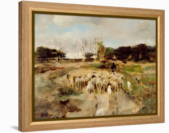 Sheep Flock-Anton Mauve-Framed Premier Image Canvas