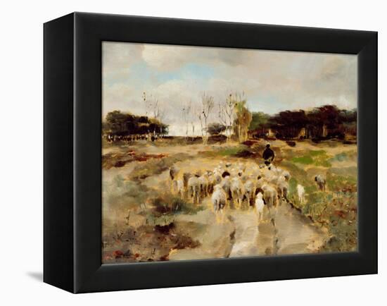 Sheep Flock-Anton Mauve-Framed Premier Image Canvas