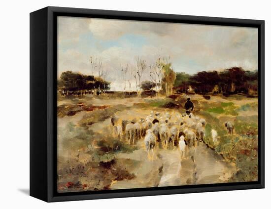 Sheep Flock-Anton Mauve-Framed Premier Image Canvas