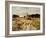 Sheep Flock-Anton Mauve-Framed Giclee Print