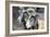 Sheep From Gotland, Sweden-Bjorn Svensson-Framed Photographic Print