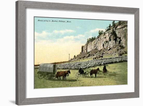 Sheep Going to Market, Billings-null-Framed Art Print