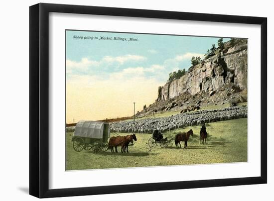 Sheep Going to Market, Billings-null-Framed Art Print