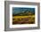 Sheep graze on Hastings Mesa near Ridgway, Colorado from truck-null-Framed Photographic Print
