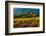 Sheep graze on Hastings Mesa near Ridgway, Colorado from truck-null-Framed Photographic Print