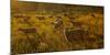 Sheep graze on Hastings Mesa near Ridgway, Colorado from truck-null-Mounted Photographic Print