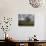 Sheep Graze on the Outskirts of Srinagar, India-null-Photographic Print displayed on a wall