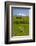 Sheep Grazing Beneath Mount Ruapehu-Stuart-Framed Photographic Print