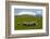 Sheep Grazing Beneath Mount Ruapehu-Stuart-Framed Photographic Print