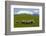 Sheep Grazing Beneath Mount Ruapehu-Stuart-Framed Photographic Print