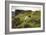 Sheep Grazing, Curbar Edge, Derbyshire, 2009-Peter Thompson-Framed Photographic Print