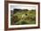 Sheep Grazing, Curbar Edge, Derbyshire, 2009-Peter Thompson-Framed Photographic Print