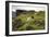 Sheep Grazing, Curbar Edge, Derbyshire, 2009-Peter Thompson-Framed Photographic Print