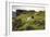 Sheep Grazing, Curbar Edge, Derbyshire, 2009-Peter Thompson-Framed Photographic Print