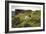 Sheep Grazing, Curbar Edge, Derbyshire, 2009-Peter Thompson-Framed Photographic Print