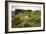 Sheep Grazing, Curbar Edge, Derbyshire, 2009-Peter Thompson-Framed Photographic Print