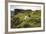 Sheep Grazing, Curbar Edge, Derbyshire, 2009-Peter Thompson-Framed Photographic Print