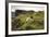 Sheep Grazing, Curbar Edge, Derbyshire, 2009-Peter Thompson-Framed Photographic Print