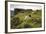 Sheep Grazing, Curbar Edge, Derbyshire, 2009-Peter Thompson-Framed Photographic Print