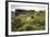 Sheep Grazing, Curbar Edge, Derbyshire, 2009-Peter Thompson-Framed Photographic Print