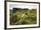 Sheep Grazing, Curbar Edge, Derbyshire, 2009-Peter Thompson-Framed Photographic Print