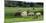 Sheep grazing in a field, Agrodome, State Highway 5, Rotorua, ay of Plenty, North Island, New Ze...-null-Mounted Photographic Print