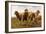 Sheep Grazing in a Meadow-Rosa Bonheur-Framed Giclee Print