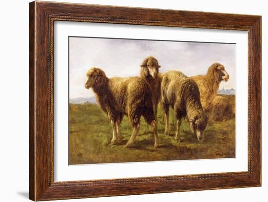 Sheep Grazing in a Meadow-Rosa Bonheur-Framed Giclee Print