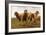 Sheep Grazing in a Meadow-Rosa Bonheur-Framed Giclee Print