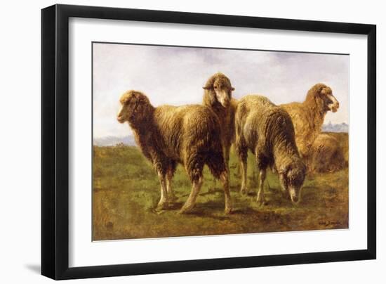 Sheep Grazing in a Meadow-Rosa Bonheur-Framed Giclee Print