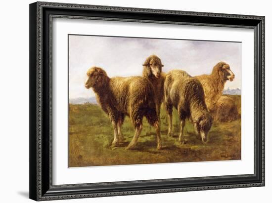 Sheep Grazing in a Meadow-Rosa Bonheur-Framed Giclee Print