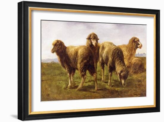 Sheep Grazing in a Meadow-Rosa Bonheur-Framed Giclee Print