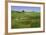 Sheep Grazing in Green Field Near Dunedin, South Island, New Zealand-Jaynes Gallery-Framed Photographic Print