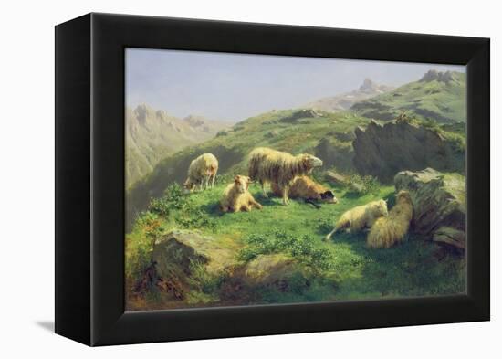 Sheep Grazing in the Pyrenees (Oil on Canvas)-Rosa Bonheur-Framed Premier Image Canvas