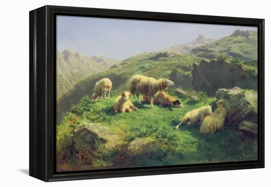 Sheep Grazing in the Pyrenees (Oil on Canvas)-Rosa Bonheur-Framed Premier Image Canvas