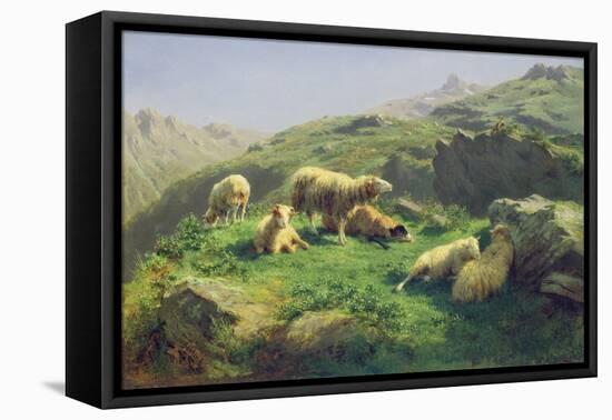 Sheep Grazing in the Pyrenees (Oil on Canvas)-Rosa Bonheur-Framed Premier Image Canvas
