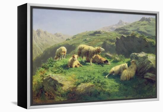 Sheep Grazing in the Pyrenees (Oil on Canvas)-Rosa Bonheur-Framed Premier Image Canvas