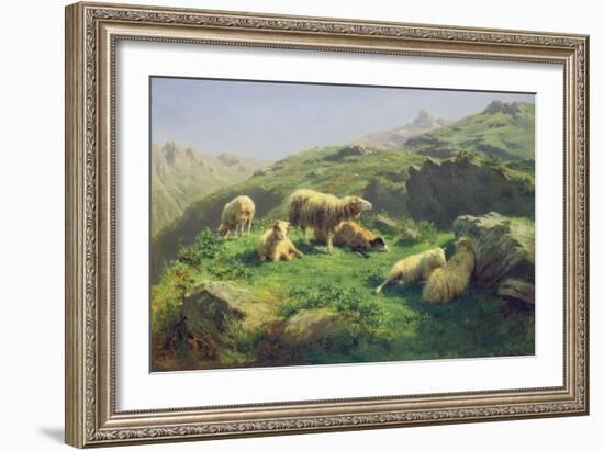 Sheep Grazing in the Pyrenees (Oil on Canvas)-Rosa Bonheur-Framed Giclee Print