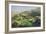 Sheep Grazing in the Pyrenees (Oil on Canvas)-Rosa Bonheur-Framed Giclee Print